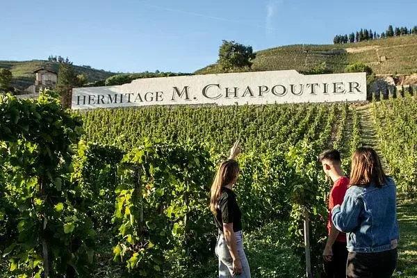 Terraced vineyards of the Northern Rh&ocirc;ne